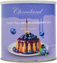 Blueberry fruit filling 55% 2.7 kg